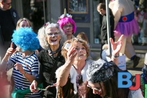 Rosenmontagsumzug Lindwurm