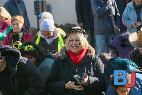Rosenmontagsumzug Lindwurm