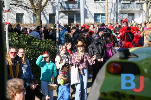 Rosenmontagsumzug Lindwurm