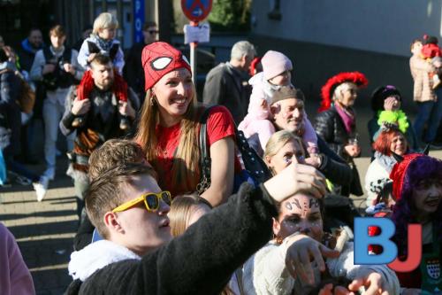 Rosenmontagsumzug Lindwurm