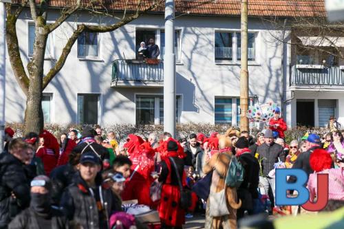 Rosenmontagsumzug Lindwurm