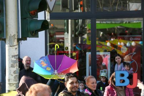 Rosenmontagsumzug Lindwurm