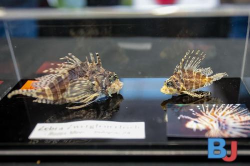 SES INSBOC20250316-10