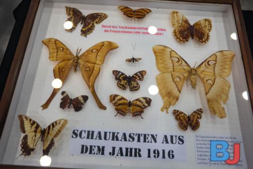 SES INSBOC20250316-12