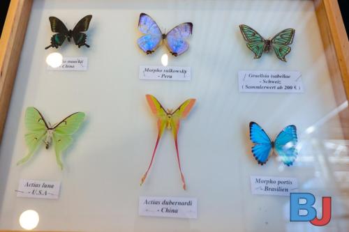 SES INSBOC20250316-15