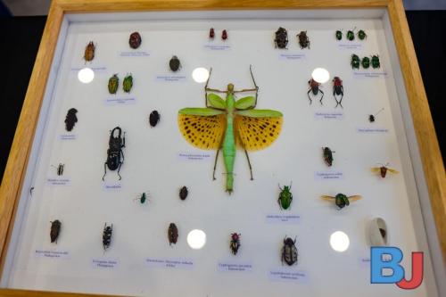 SES INSBOC20250316-16