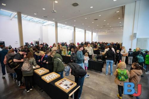 SES INSBOC20250316-21