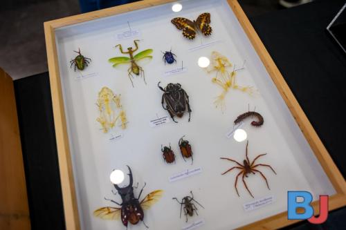 SES INSBOC20250316-6