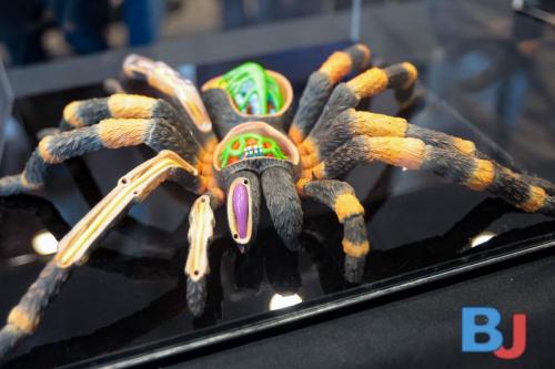 SES INSBOC20250316-7