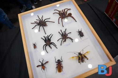 SES INSBOC20250316-9