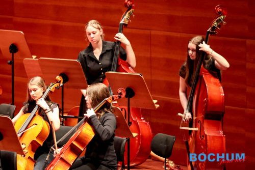 SES BOCSIN20250609-7