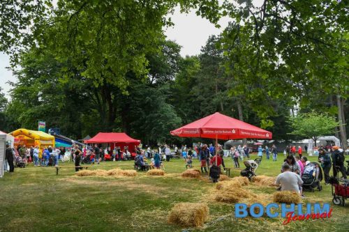 CSC BOCSUeF20250706-1