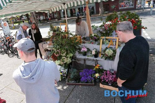 SES BOCTHE20250914-2