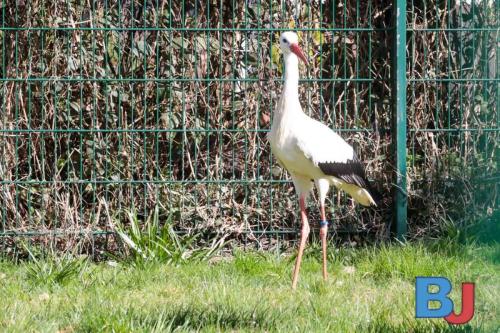 SES STOWAT20250329-13