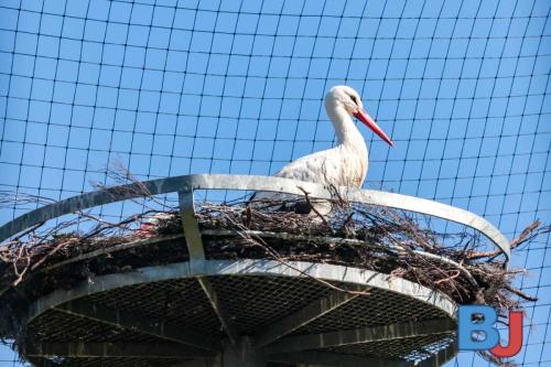 SES STOWAT20250329-14