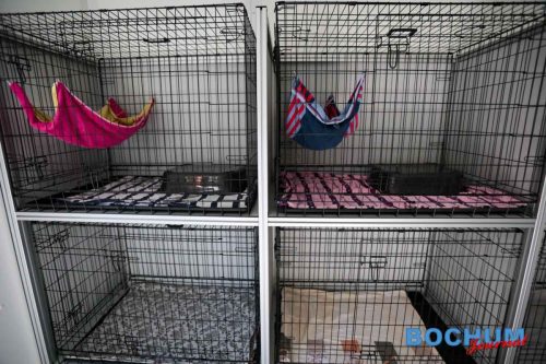 SES BOCTIH20250611-11