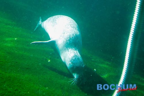 SES BOCTIE20250913-12