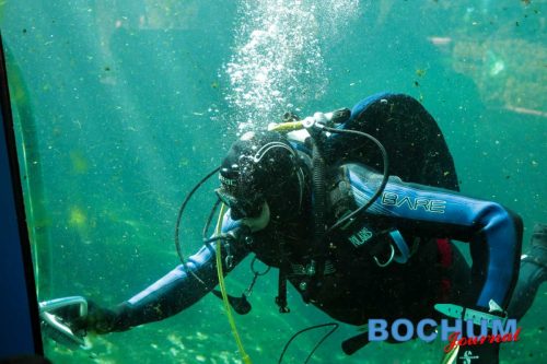 SES BOCTIE20250913-18