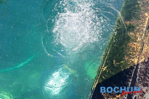 SES BOCTIE20250913-23