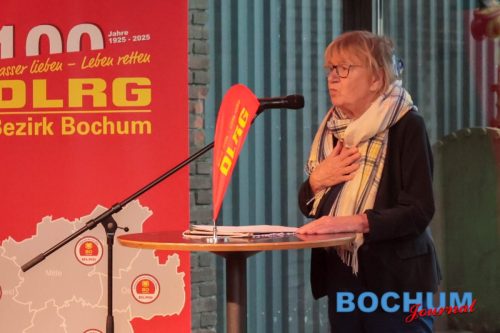 SES 100DLR20251115-11