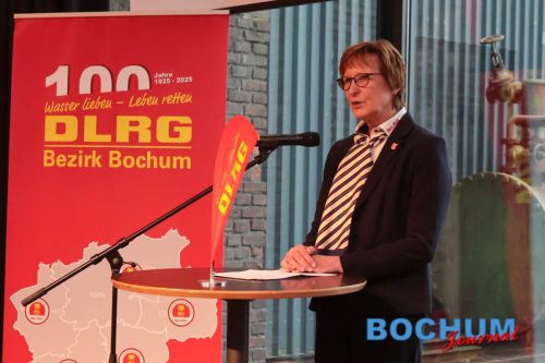 SES 100DLR20251115-13