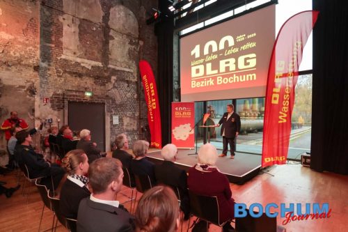 SES 100DLR20251115-3