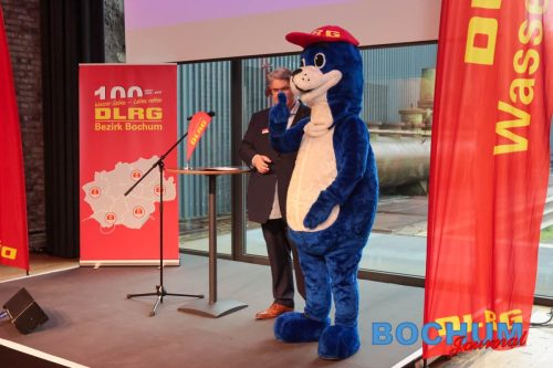 SES 100DLR20251115-7