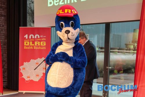 SES 100DLR20251115-8