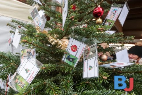 SES TIHBOC20251129-13