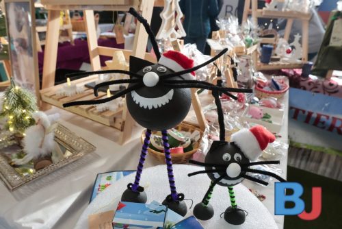 SES TIHBOC20251129-18