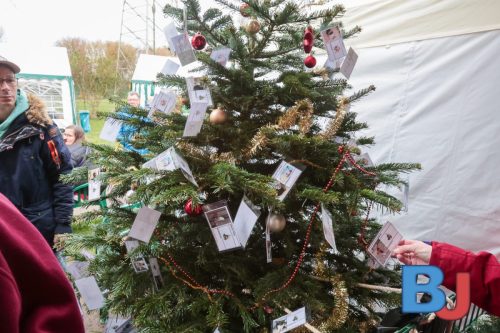 SES TIHBOC20251129-5