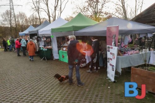 SES TIHBOC20251129-9