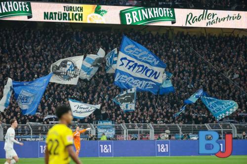 SES DORBOC20240128-24