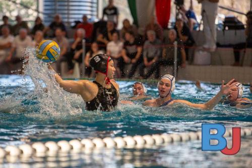 574 20250208 wasserball-10-von-37